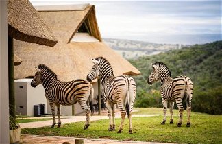 Photo 1 - JBay Zebra Lodge