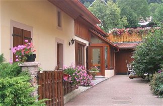 Foto 1 - Appartamento a Breitenbach-Haut-Rhin con terrazza